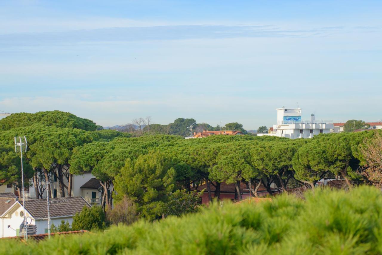 Palace Hotel Domus Mea Riccione Esterno foto